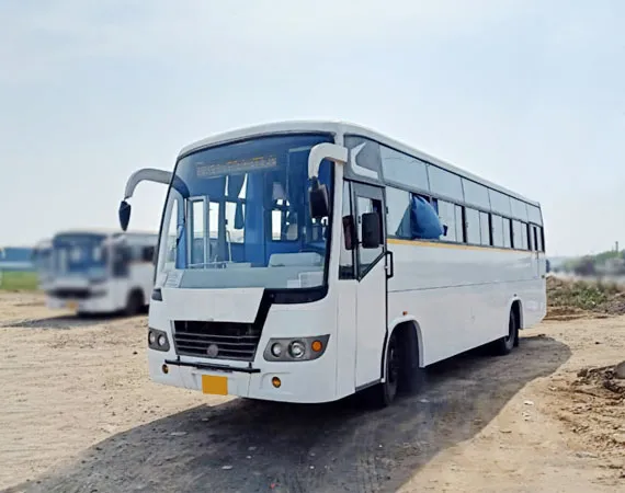 56 seater bus